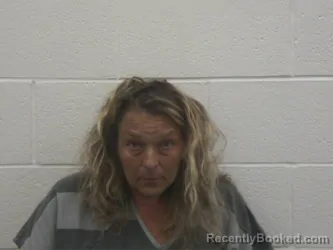 Mugshot of SHANNON NECOLE HAMILTON booked in Loudon County, Tennessee on July 12, 2026