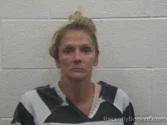 Mugshot of JOY DENISE WILLIAMS booked in Loudon County, Tennessee on July 14, 2026