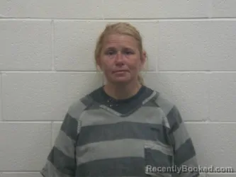 Mugshot of DONNA ANN WILLIS booked in Loudon County, Tennessee on August 2, 2026