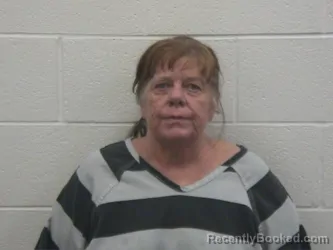 Mugshot of Diana Maria Mcmahan booked in Loudon County, Tennessee on August 18, 2026