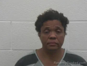 Mugshot of Crystal Marie Brown booked in Loudon County, Tennessee on August 21, 2026