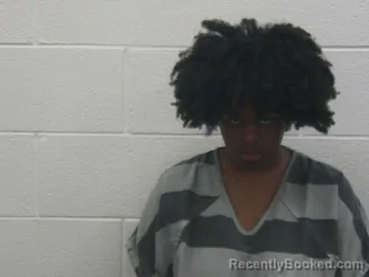 Mugshot of Marla Marie Ann Machee Mccowan booked in Loudon County, Tennessee on August 23, 2026