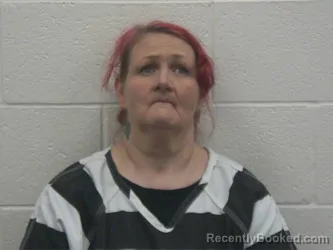 Mugshot of Johanna Lorine Metze booked in Loudon County, Tennessee on September 13, 2026