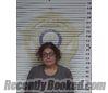 Booking photo from McMinn County, Tennessee