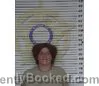 Mugshot of BRITTNEY HAMMONDS booked in McMinn County, Tennessee on July 7, 2026