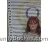 Mugshot of TINA PARRIES booked in McMinn County, Tennessee on June 24, 2026