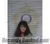 Booking photo from McMinn County, Tennessee