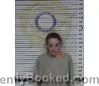 Mugshot of AMANDA MELLINI