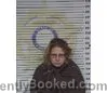 Mugshot of DAWN FELIX booked in McMinn County, Tennessee on July 2, 2026