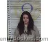 Mugshot of BRITTANY ANDERSON booked in McMinn County, Tennessee on April 16, 2026