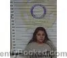 Mugshot of GUADALUPE SANCHEZ booked in McMinn County, Tennessee on April 26, 2026
