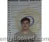 Mugshot of JEREMY KAEPPNER booked in McMinn County, Tennessee on May 8, 2026