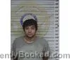 Mugshot of Cesar Gonzalez booked in McMinn County, Tennessee on September 4, 2026