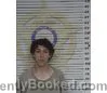 Mugshot of JUSTIN MARSEE booked in McMinn County, Tennessee on July 1, 2026