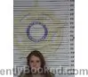 Mugshot of JESSICA GAMBRELL booked in McMinn County, Tennessee on July 14, 2026