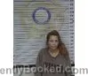 Mugshot of Pamela Moses booked in McMinn County, Tennessee on October 20, 2026