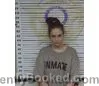 Mugshot of AUDRIANA DOWNING booked in McMinn County, Tennessee on April 23, 2026