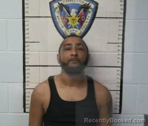 Mugshot of MICHAEL HORTON II