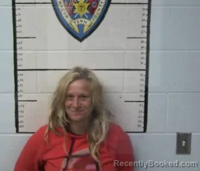 Mugshot of AMIE FAYE WILKINS booked in Macon County, Tennessee on March 28, 2026