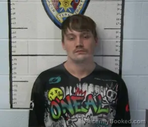 Mugshot of WILLIAM ARIZONA VANNASDALE