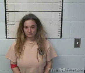 Mugshot of SIERRA MCKENZIE DAVIS