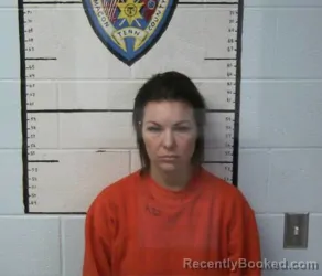 Mugshot of KATIE BETH HUDSON