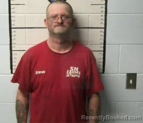 Mugshot of STEVE A NEWBERRY