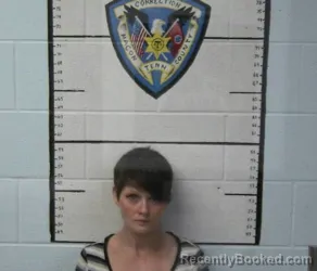 Mugshot of KODIE L ROLLINS