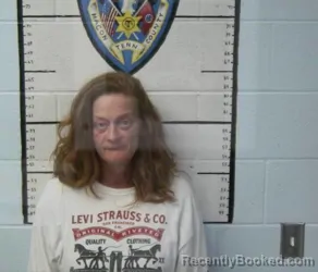 Mugshot of FRANCES DIANE FELTZER booked in Macon County, Tennessee on March 20, 2026