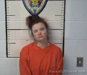 Mugshot of HALEY LASHAY DRIVER