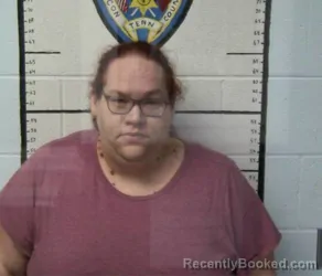Mugshot of BRANDY DANIELLE WALKER