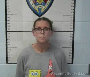 Mugshot of TINA MICHELLE HERNANDEZ