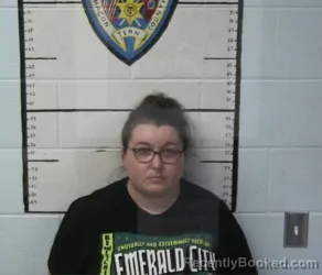 Mugshot of JAMIE LEE FARLEY