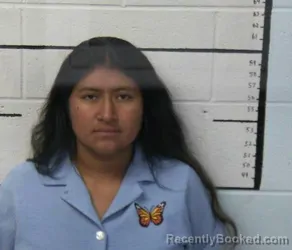 Mugshot of ESTRELLA ROCIO RUIZ DIAZ booked in Macon County, Tennessee on July 28, 2026