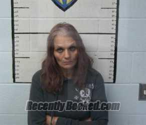 Booking photo from Macon County, Tennessee