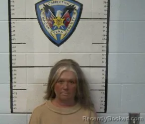 Mugshot of SONDRA LYNETTE DRIVER
