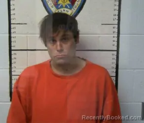 Mugshot of DEWAYNE A GRINESTAFF