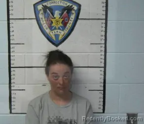 Mugshot of ANGELA NICOLE HARP