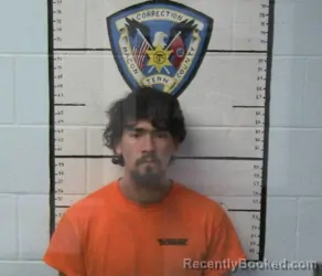 Mugshot of HARLEY W MCCUMBER booked in Macon County, Tennessee on March 9, 2026