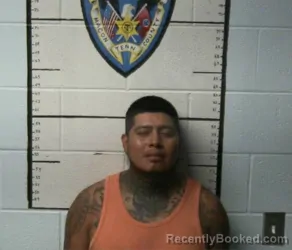 Mugshot of JORGE ALBERTO OSORIO booked in Macon County, Tennessee on June 24, 2026