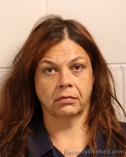 Mugshot of HELEN ANN NICHOLSON booked in Madison County, Tennessee on April 18, 2026