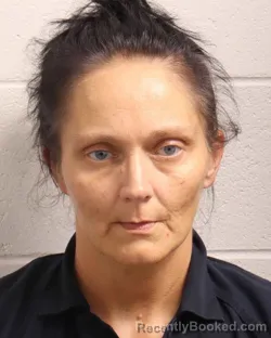 Mugshot of CHASITY N BOHANAN booked in Madison County, Tennessee on April 25, 2026