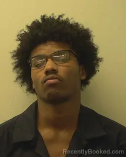 Mugshot of TYLER EDWARD WILLIAMS