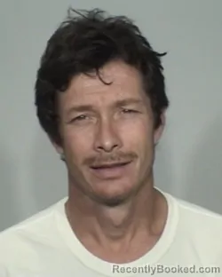 Mugshot of WESLEY SHANNON STREET booked in Madison County, Tennessee on April 8, 2026