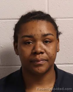 Mugshot of TERRICA OMNICA PERRY booked in Madison County, Tennessee on May 3, 2026