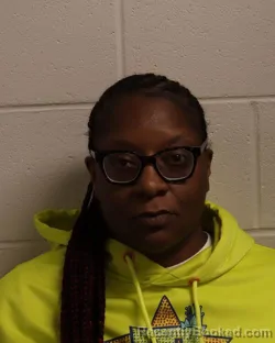 Mugshot of TAMEKA MARSHAY TOOMES