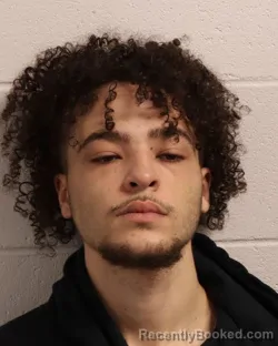 Mugshot of PAYTON FRENSHON WELCH