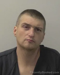 Mugshot of GEORGE L JERNIGAN