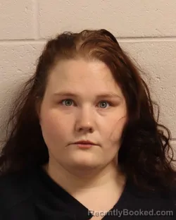 Mugshot of HOLLY N DIONICIO booked in Madison County, Tennessee on April 4, 2026