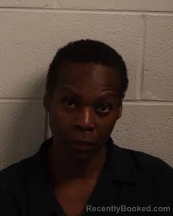 Mugshot of LATONYA LATISA NORRIS booked in Madison County, Tennessee on July 9, 2026